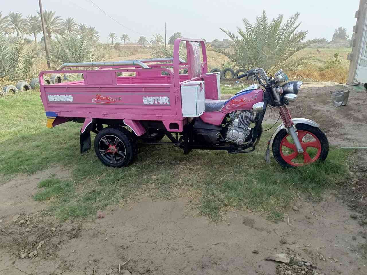 ستوته • موديل ١٨ • اوراق اصولي