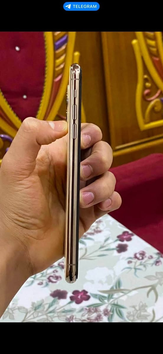 للبيع آيفون 11 برو ماكس ذاكرته 256 كيكه جهاز لوك شخط مابي كامراته فول فقط شاشه مبدل اصلي شرط فيس ايدي شغال شرط حاسبه بطاريه بلادي 73 شرط مايصرف شحن نموذج M أمريكي سعر 270 وبي مجال خاص او اتصل *********** مكاني كركوك

نص مكتوب في الصور:
- TELEGRAM
- TELEGRAM إيقاف الصور الحية