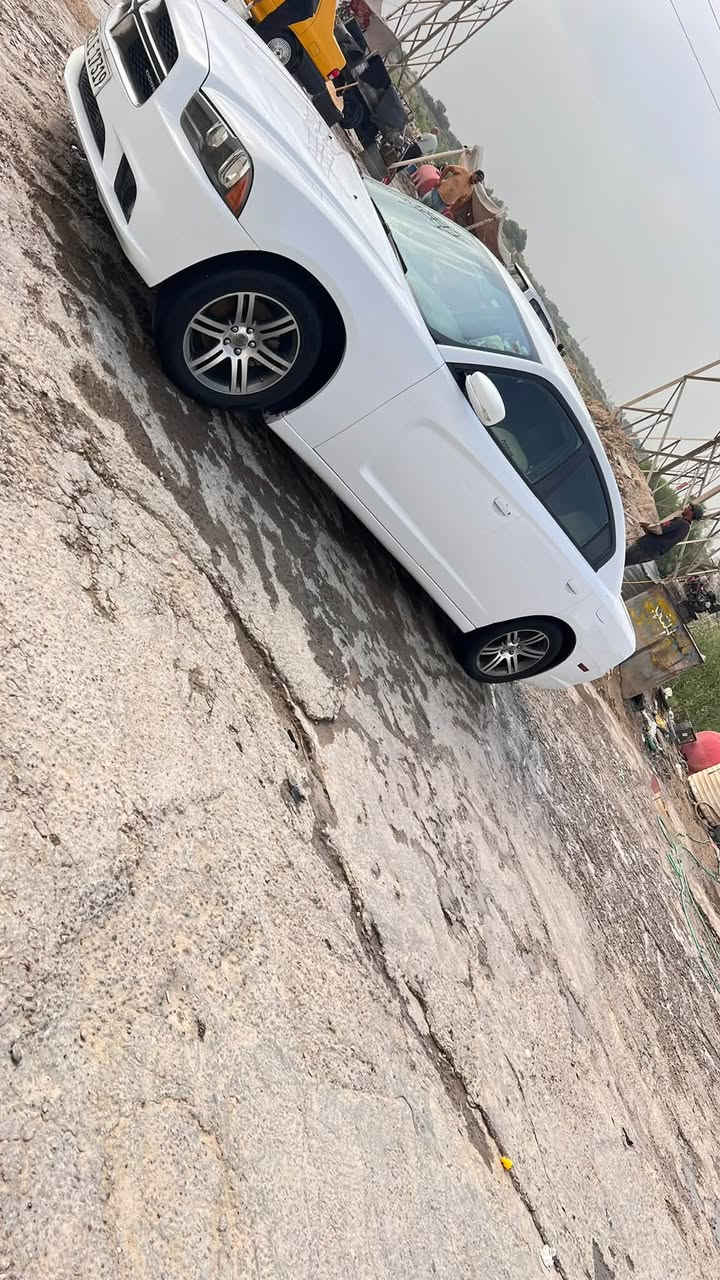جانجر • ٢٠١١ • كفالة