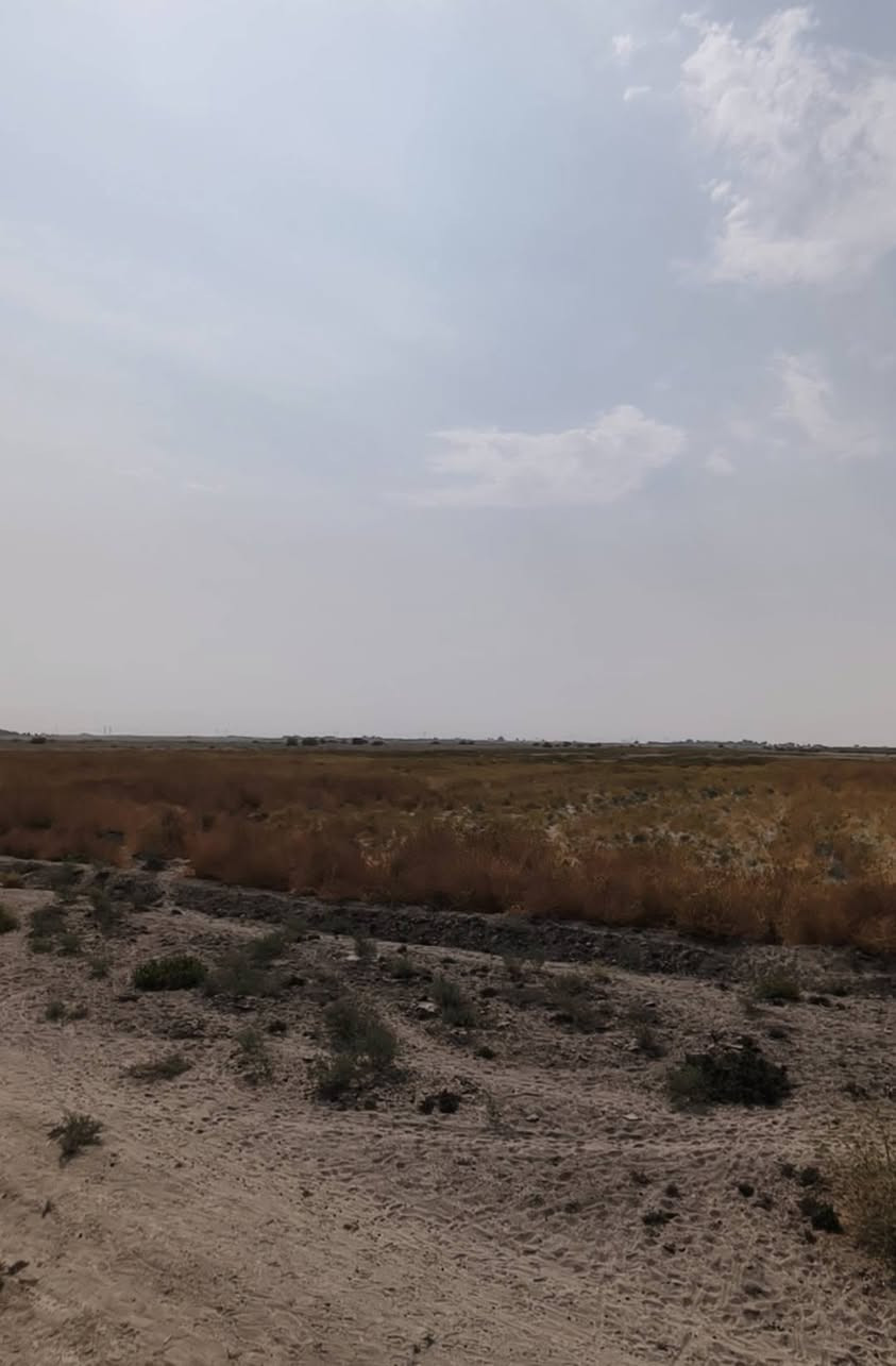 أرض زراعي • ٨٠ دونم • على نهرين