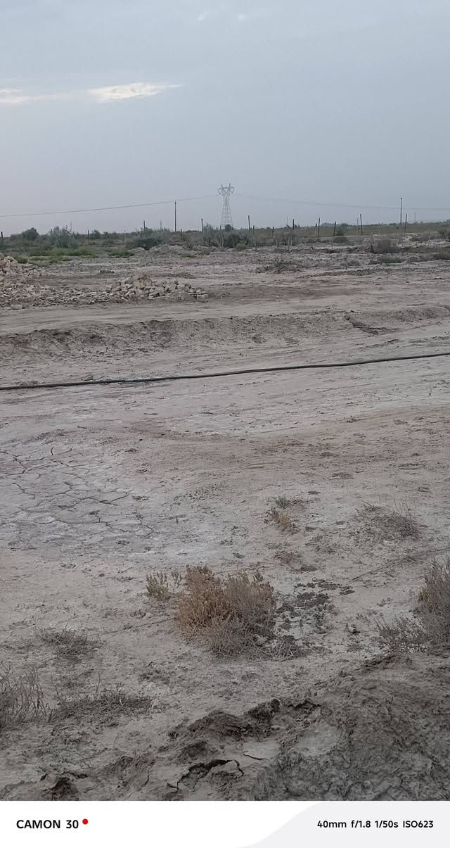 دونمين • النعومية • مقابل بستان سيد طاهر