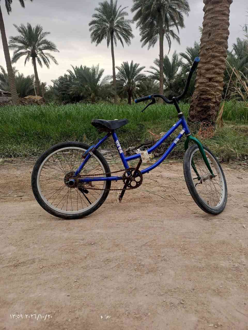 بايسكل • حجم ٢٢ • ياباني اصلي