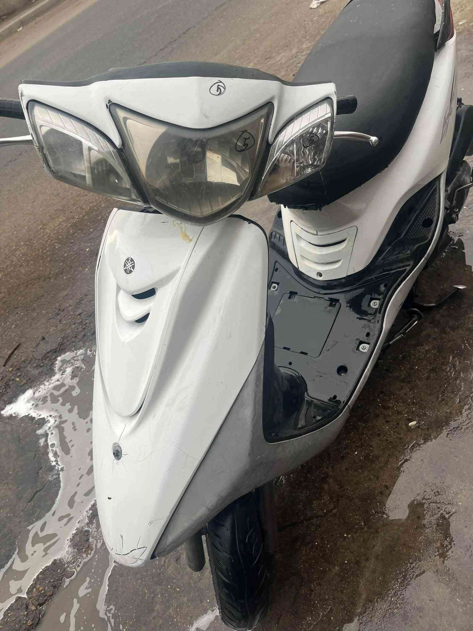 بغبغاء • جديده • مدينه الصدر