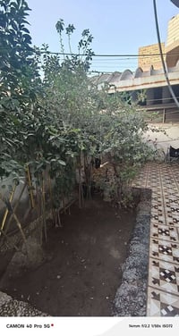 حي الصدرين • ٢٠٠م • طابو زراعي