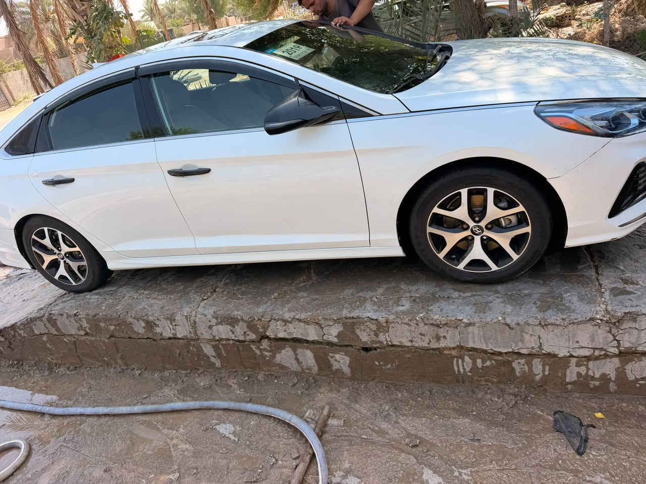 مراوس بويل اسود فقط كون اصلي وحجم 16 هو وتايراته 

هذا الطخم الويل كب مال سوناتا حجم 17 وياه طخم تاير تايلندي 
مكاني الحله ***********
