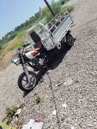 ستوته • وراق كامله • ٢٠٢٠