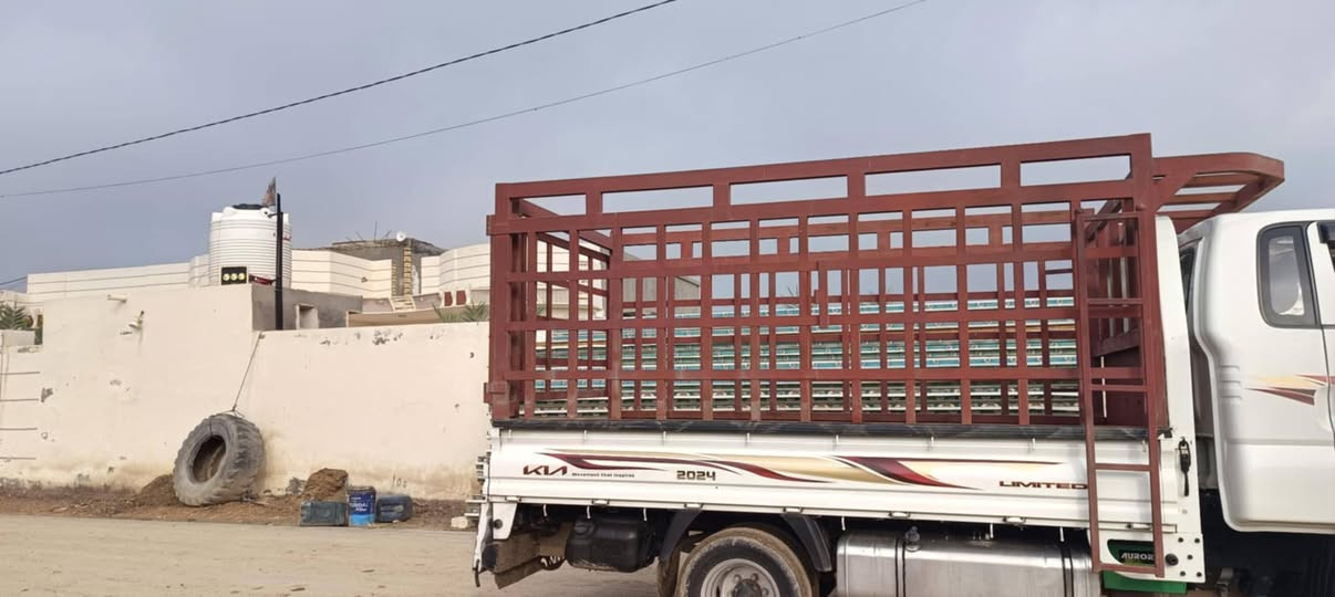 محجر كيه فحل للبيع المكان القاسم السعر 400الرقم والاستفسار  ***********
