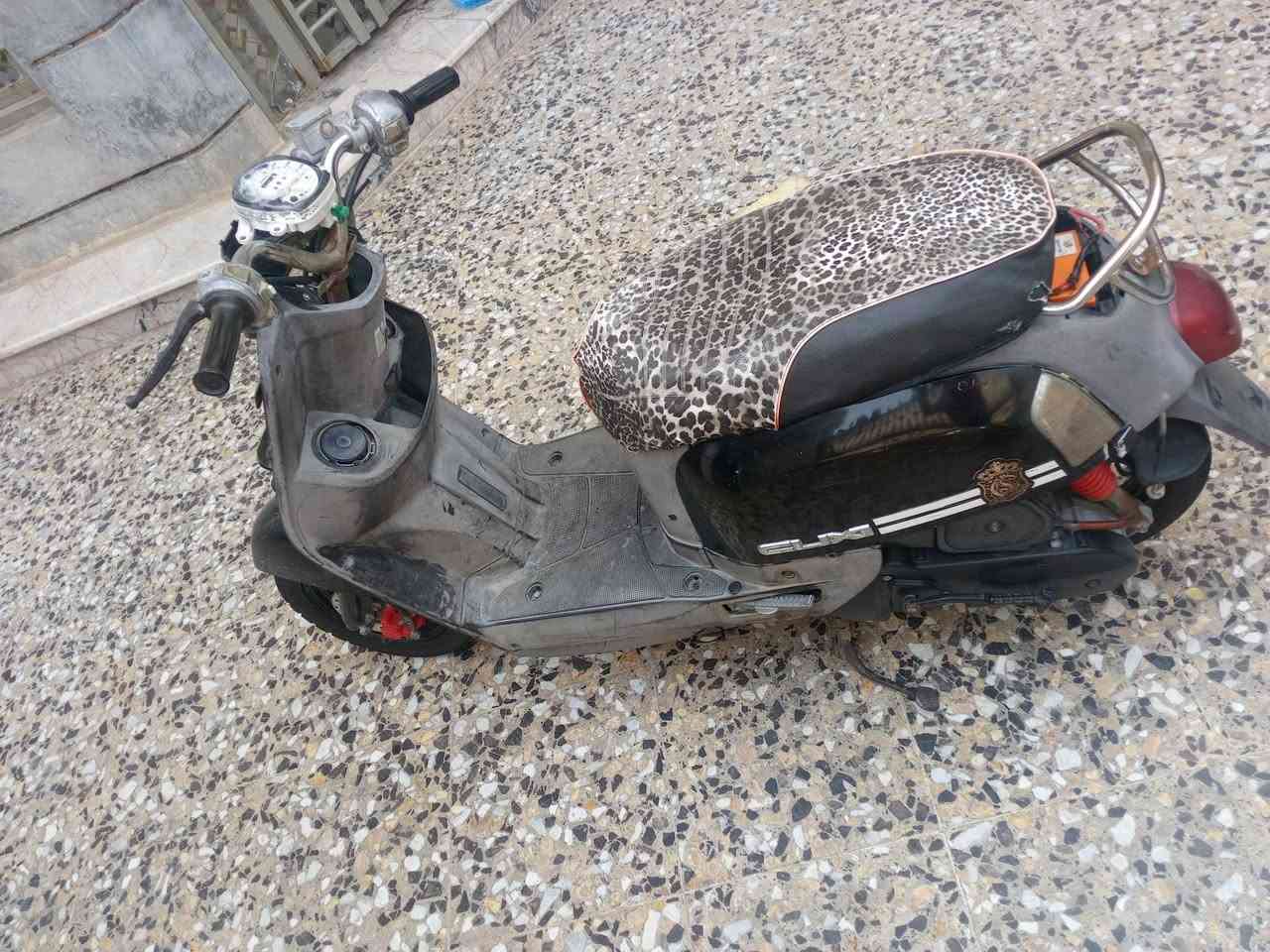 سلام عليكم شباب ماكس بوليس البيع الدراجه امزوده 55 والباغي كله البلادي نغصهة بس بجم اوكيج مال سرعه البجم مالهة موجود بس طاك ***********بي واتساب او اتصال السعر 350او بيهه مجال
