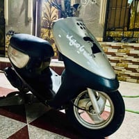 منغولي • فحل • ٢٥٠