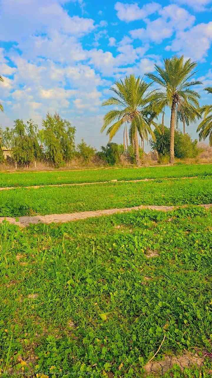 🔥 🌟دوانم للبيع  🌟 🔥
📍 بغداد التاجي 
▪️ تبعد على شارع بغداد الموصل، 3 دقايق 
▪️ موقع ممتاز 

🏡 ملائمة لـ: ✔️ سكن ✔️ مزارع ✔️ استثمار
✨   خدمات كامله 
🗼 السعر .. 75 
📞 للاتصال: ***********
واتساب/ ***********
