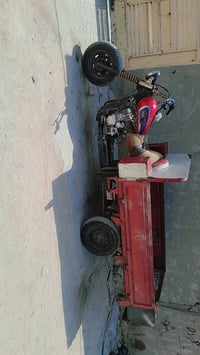 ستوته • داي وان • شغاله