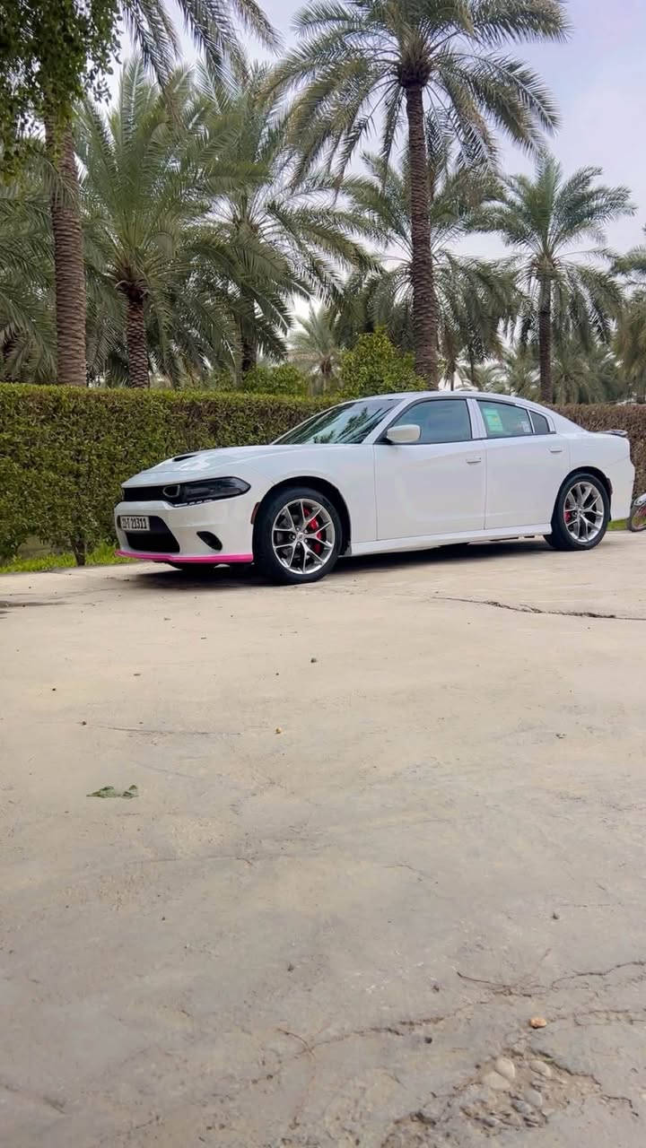 السلام عليكم 
للبيع جارجر وارد امريكي محدثه جيتي بالكامل داخل احمر صور الحادث موضحه بالمنشور بالاضافه البنيد محدث بدون اي ضربه وبنيدها القديم موجود وبيها صبغ باب الصدر والجاملغ الامامي
موديلها 2016اصل ماشيه89كير مكينه صدر تبريد كله بشرط رقم بغداد تحويل ثاني يوم باسمي 
تخم تايرجديد السياره بدون اي نقص تراي زيرو
مواصفاتها معروفه مكانها بغداد المدائن
للاستفسار ***********
السعر 160 وبيها مجال
