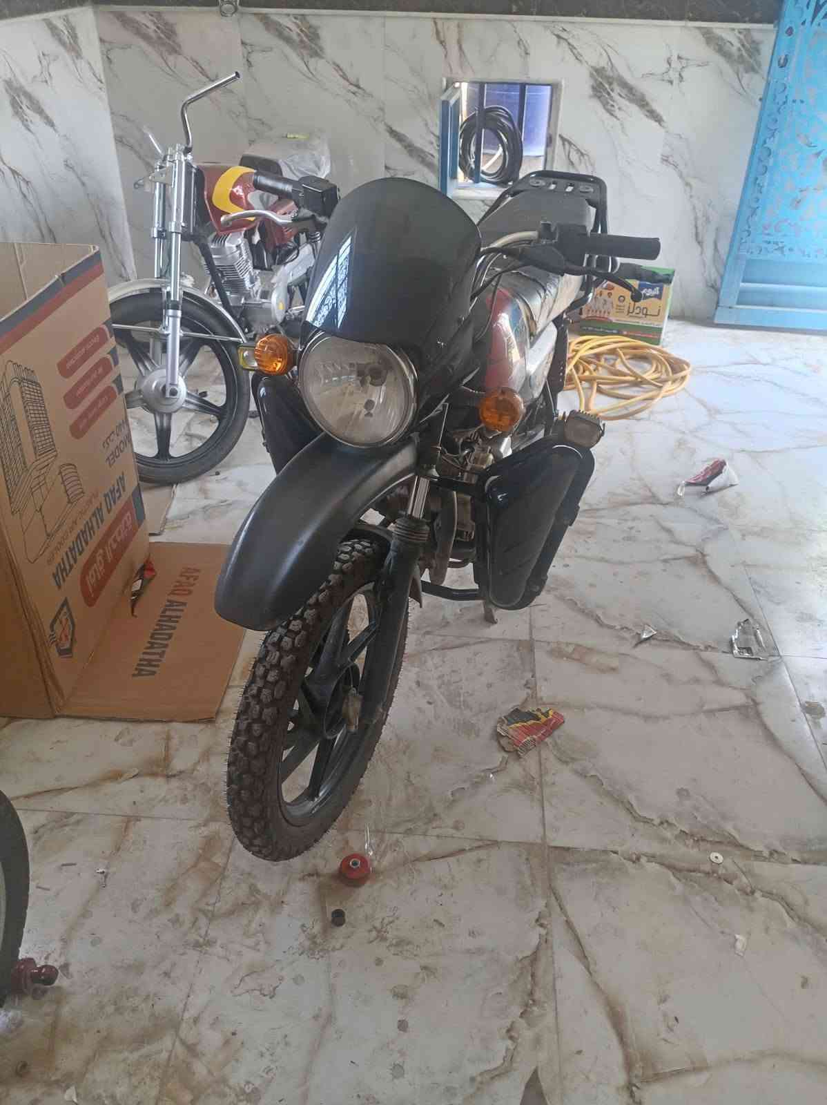 بوكسر • جبلي • ٢٠٢٢