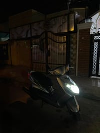 سكنس فحل • ياباني • ماشيه ٦١