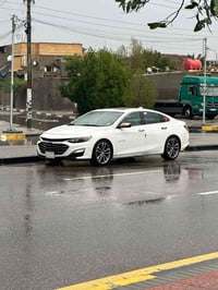 ماليبو ٢٠٢١ • بدون صبغ • البصرة