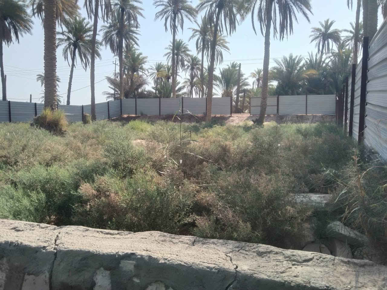 للبيع .. أو المراوس ..

نصف دونم على طابو الكوفة وعلى الشط وجه ووجه على الشارع السياحي الرئيسي البو حداري قزوينية من جسر الامام علي عليه السلام وتنزل مع شط الكوفة مقابيل مشروع ماء الكوفة الزركة الجديد بالضبط ومتوفر كامل الخدمات ماء وكهرباء ومدارس ومركز صحي وتبليط بالباب جديد ومسيجه بالكامل والشط مشتغليه حجر وتحتوي على نخل حمال ، تباع كاملة أونصف أو مراوس 
ولمعرفة المزيد من التفاصيل والتفاوض على السعر يرجى الاتصال على الرقم المبين وبخدمتكم .

***********
متوفر خاص وواتس   .
