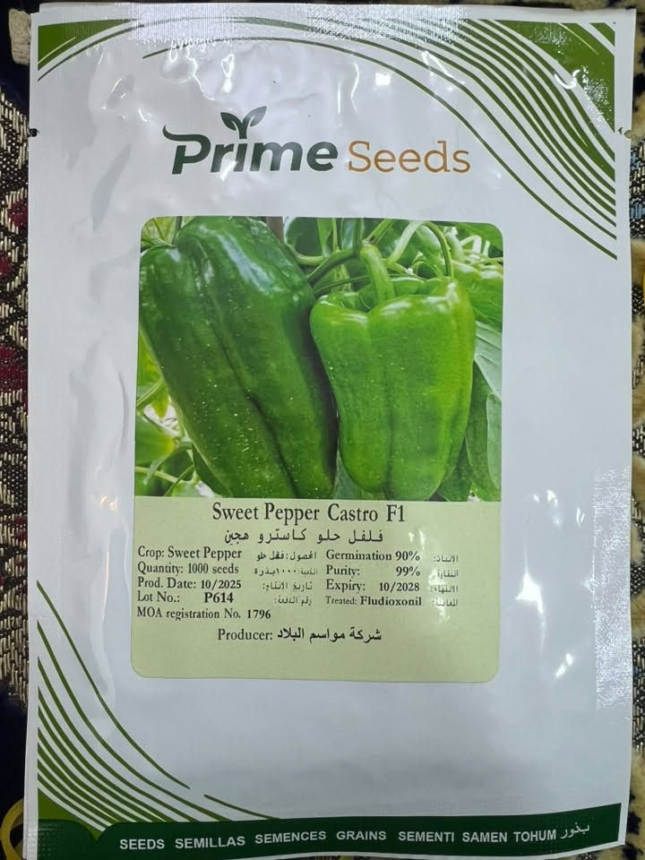 صنف (كاسترو) 🫑🫑
✅من اقوه الصناف الموجوده 
✅يمتاز بمقاومة المراض 🦠
✅يمتاز بحجم مثالي لثماره وجدارهاا 🫑
✅تمتاز ثماره بالونهاا المميز المرغوبه تسوقين 🛒
✅صنف كاسترو لا توجد  تشوهت في ثمار🙅
✅الحل الأمثل للمزارعين 🧑‍🌾

…..(نجاح زراعة غايتنا)
 شركة مواسم البلاد..

الاستفسار . *********** 
***********.
