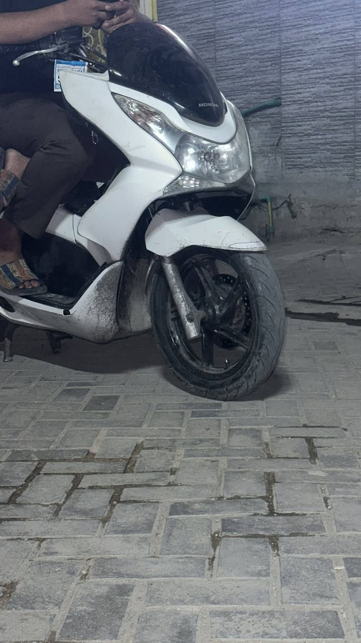بيسي اكس • ١٥٠ • مكفولة