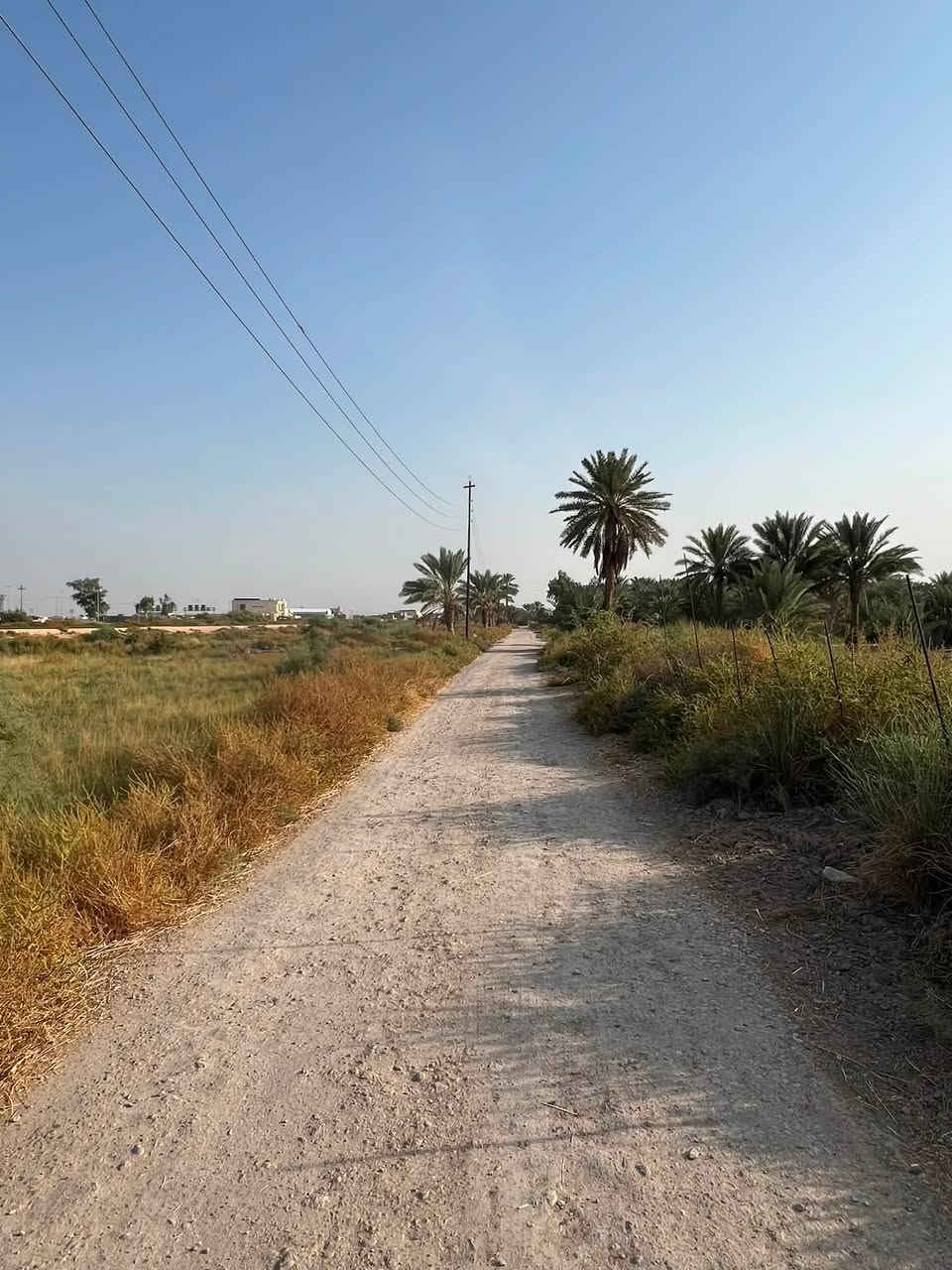 دونمان • سند 25 • بابل المحاويل