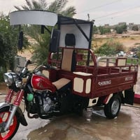 ستوته • موديل ٢١ • منفيس