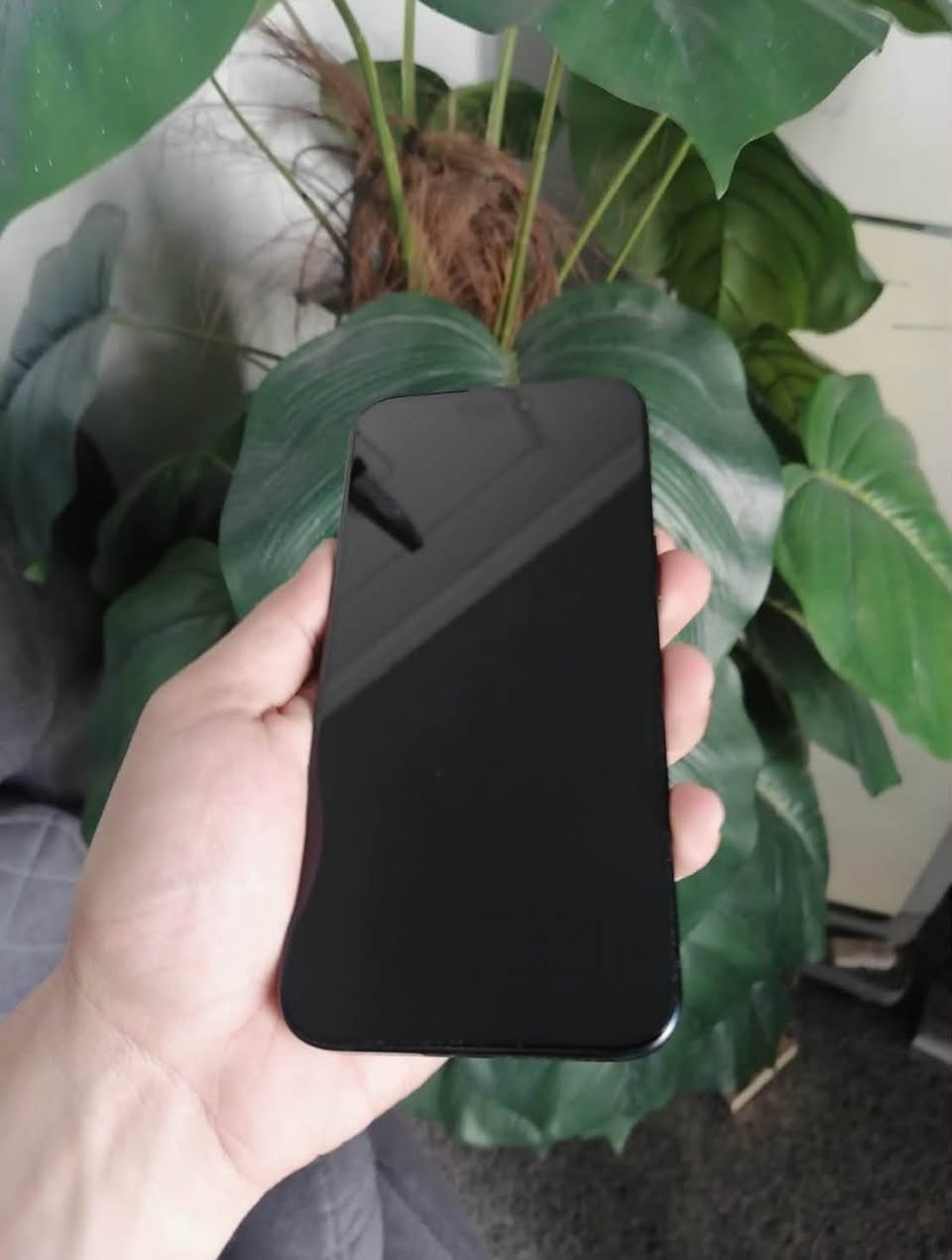 iPhone 15Pro Max 256 eSIM
آيفون ١٥ برو ماكس eSIM شريحة إلكترونية ذاكرة ٢٥٦ بطارية ٨٧ بلاد شرط الفحص ، فقط شاشة مبدل بلاد تفصيخ ( مبدل تفصيخ ) وفيس ايدي شغال 

#سعر_٦٢٥ 

#واتساب - ***********
