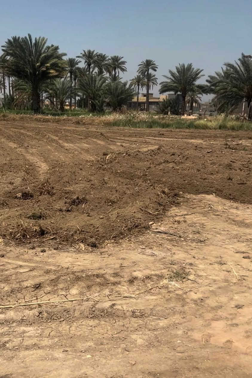 السلام عليكم ورحمة الله وبركاته
دونمين للبيع ينباع منها دونم او نص دونم او كل الدونمين
ارض زراعية طابو 25  كهرباء طواريء كافة الخدمات ماء كهرباء مجاري تحويل باسم المشتري مباشر الأرض ملاصقة للحي على طول الحي يعني كلها واجهية واجهية الدونم الواحد 100 متر 
العنوان كربلاء قضاء الخيرات 
سعر الدونم الواحد 85 وبي مجال
الاستفسار اكثر ***********
