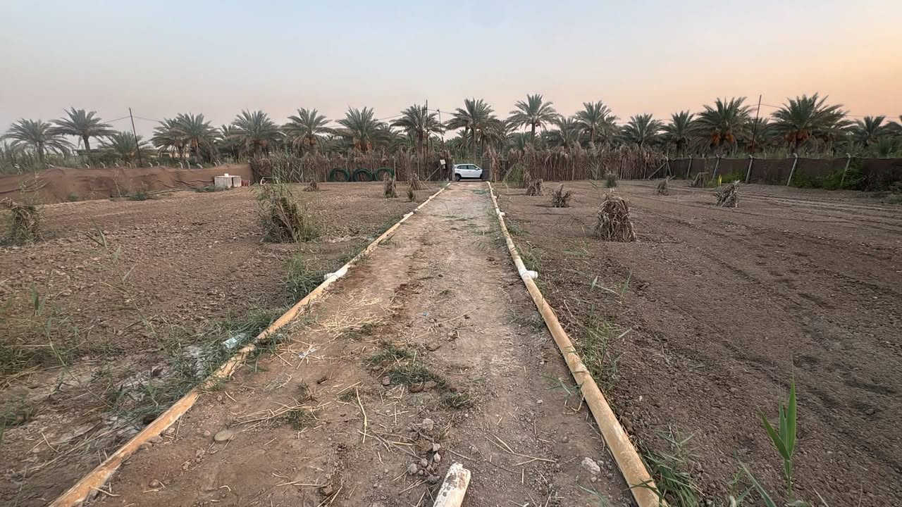 📌يوجد 2000م  للبيع بسعر 65   

📍 ارض  (2000م) للبيع في كربلاء منطقه نهر السلام (طريق طويريج كربلاء)
✅ منطقه سكنيه مدارس قريبه 
✅ يصلح سكن او دار استراحه او مزرعه 

✅ مغروسه نخيل برحي نسيجي و عادي

✅ منضومه سقي كامله للارض من النهر و من البير 
 
✅سند طابو زراعي 25 تحويل مباشر  بأسم المشتري 

✅( تبعد عن  ألامامين عليهم السلام 7 كيلو )

✅✅خدمات كامله تبليط /ماء /كهرباء  /

 ❇ السعر 65مليون مع المجال القليل
---------------------    
للاستفسار ....

***********

***********
