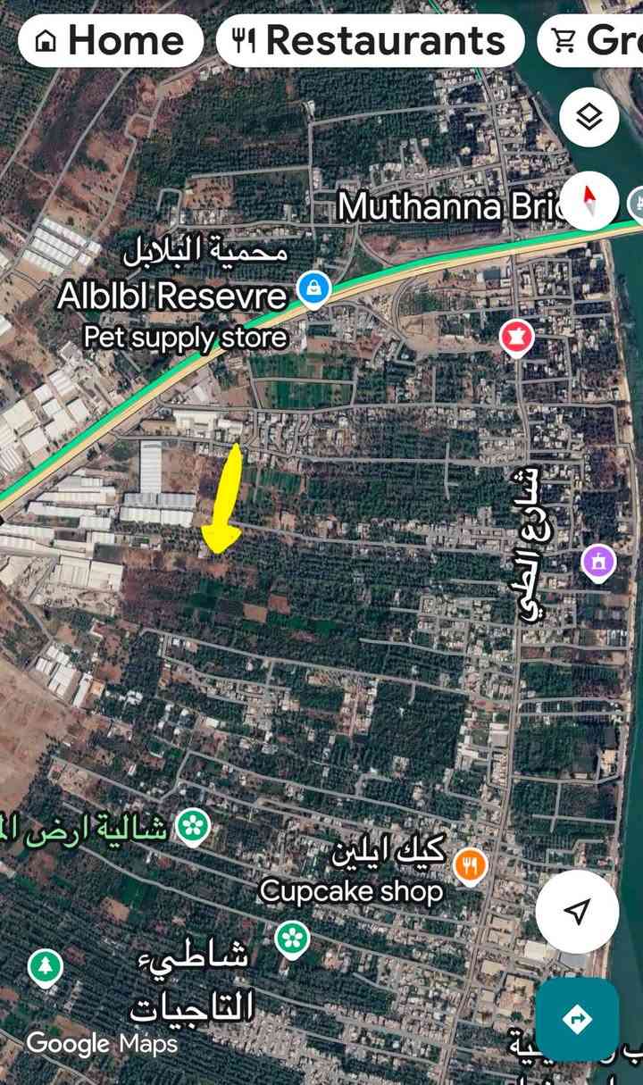 السلام عليكم 🫡 
ارض ٨٠٠ متر زراعي سند ٢٥ ملك صرف
الموقع في منطقة الطي 
الواجهة ٢٥ متر النزال ٣٢ متر لها مدخلان من جهة شارع الطي تقريبا ٤٥٠ متر والمدخل الثاني من جهة السريع تبعد عن السريع تقريب ٢٥٠ متر 

لمعرفة الموقع بالضبط او السعر الاتصال على الرقم او الواتساب 

***********

الموقع 

https://maps.app.goo.gl/mtNqs4VUQfwjYhiRA?g_st=ic
