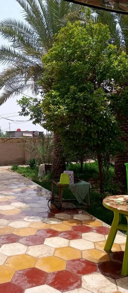 #دار_مع_مزرعه_للبيع 
فرصه مميزه 
تجاريه وسكنيه علا طريق الزوار مباشرتا 
المساحه الكليه :1100
مساحة الدار: 250م
الموقع :طريق السنيه جهة الزوار  علا الشارع مباشرتا 
مواصفات الدار 👇
🛑اساس كونكريت 
🛑بناء طابوق 
🛑 سقف كونكريت مسلح 
🛑غرف عدد 2
🛑صاله 
🛑استقبال واسع جدا 
🛑  صحيات خارجيه وداخليه 
🛑مطبخ 
موصفات المزرعه🏝️ 
 🛑تحتوي علا اشجار حمضيات فرصه استثماريه لاتعوض
🛑ارض خضراء جدا كبيره 
🛑اشجار نخيل من النوعيه الجيده 👍
#قطعة_ارض_مميزه
🛑نوع العقار: طابو زراعي 

وسعره جدا مناسب  ✔️
ــــــــــــــــــــــــــــ
#متابعة__الصفحه_ليصلكم_كل_ماهو_جديد🛑
#نستقبل_جميع_عروضكم
--------------------
للتواصل الاتصال على الرقم 
***********
اوزيارة مكتبنا
مكتب حيدر الطيار للعقار والمقاولات العامة  
الجزائر -شارع المطاعم -مقابل مدرسة حمورابي
--------------------------
