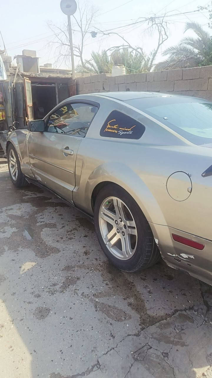 موستنك رقم شمالي نكليزي سعر ٦٥ او مراوس سنويه ما منتهيه سياره عوزه ترتيب كلش قليل اذا عدك مراوس دزلي  وساب داخل البصره ***********
