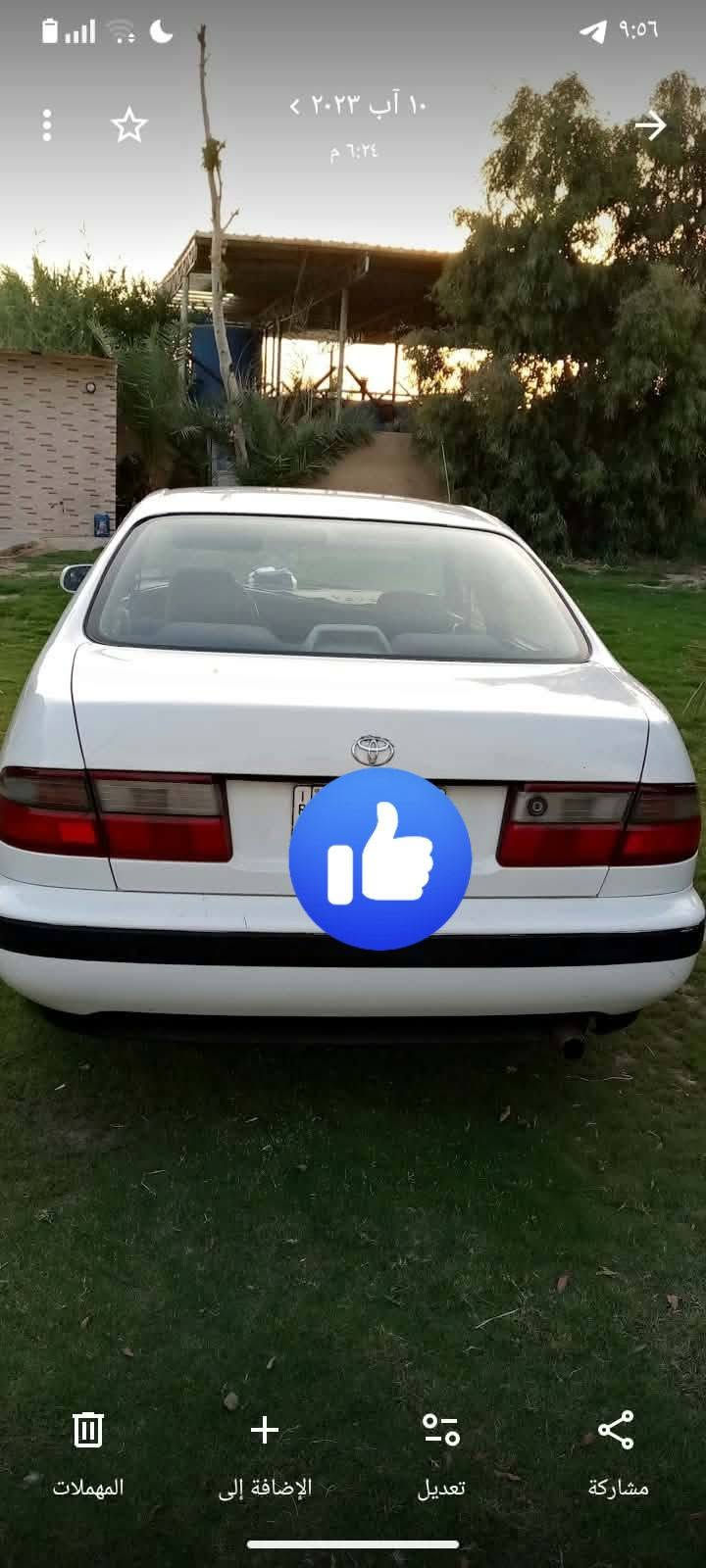 نفخ • جير • نجف