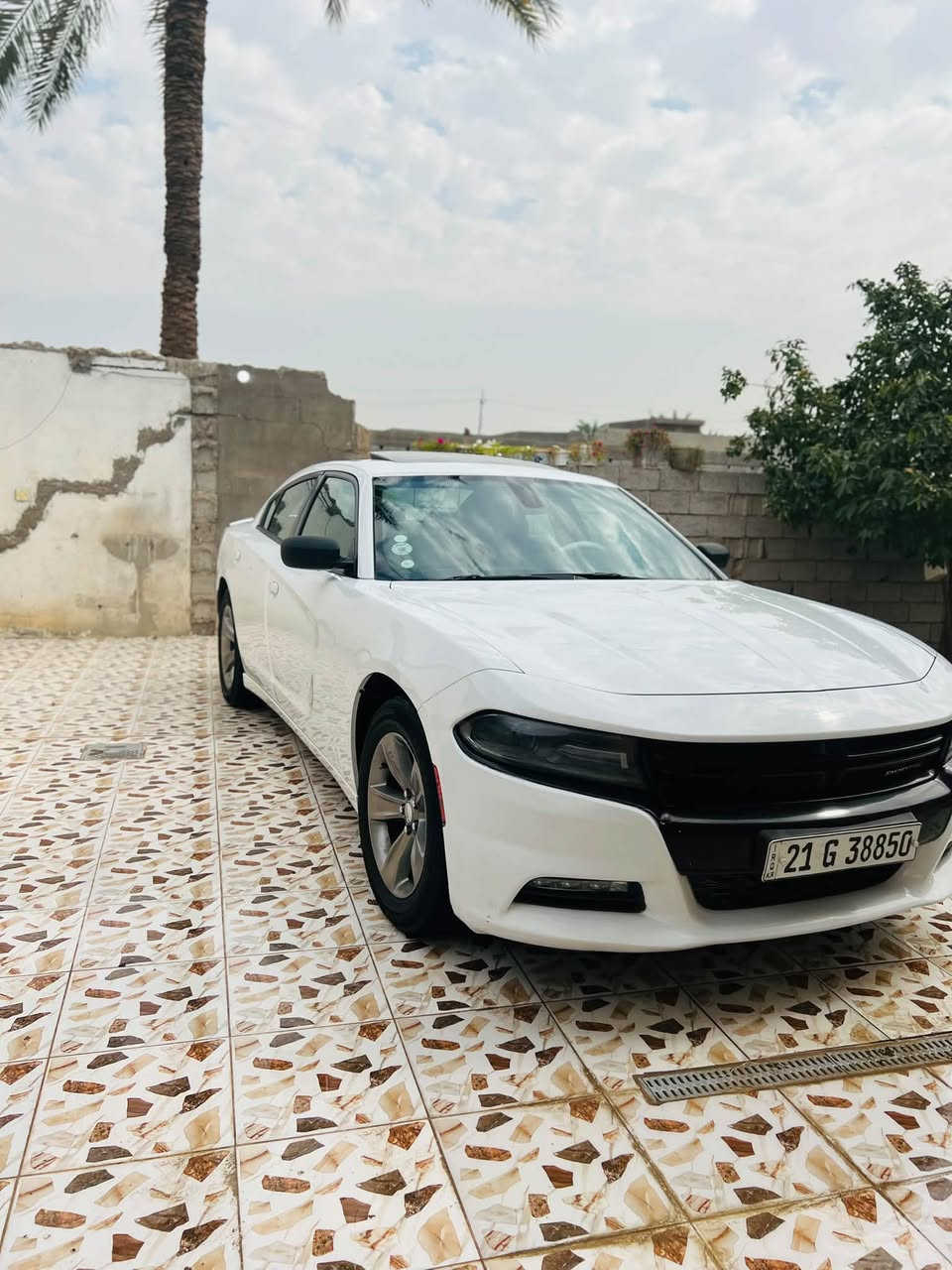 تشارجر • ٢٠١٥ • وارد كندي