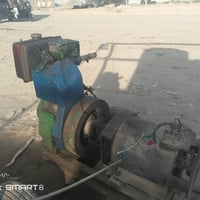 مولد هندي • شغال • ديالى بعقوبة