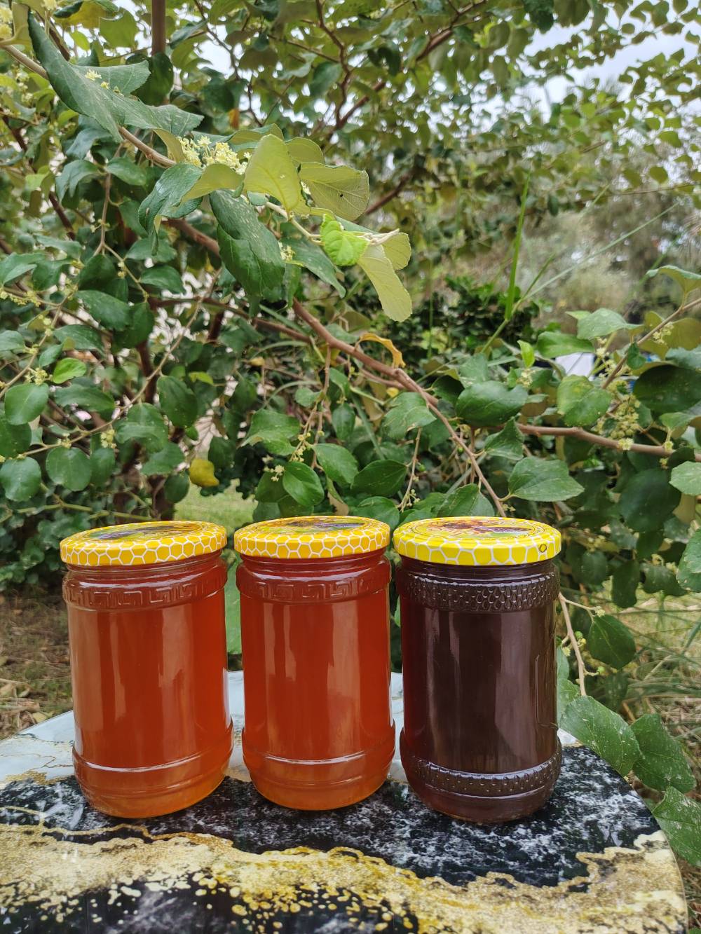 عسل طبيعي • علبة • توصيل