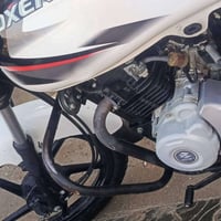 بوكسر • مرقم • ٢٠٢٢