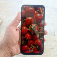 ريدمي 15C • ٢٥٦/٤ • بطارية ٦٠٠٠