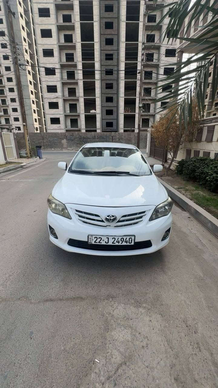 كورلا خليجي • ٢٠١١ • رقم اربيل