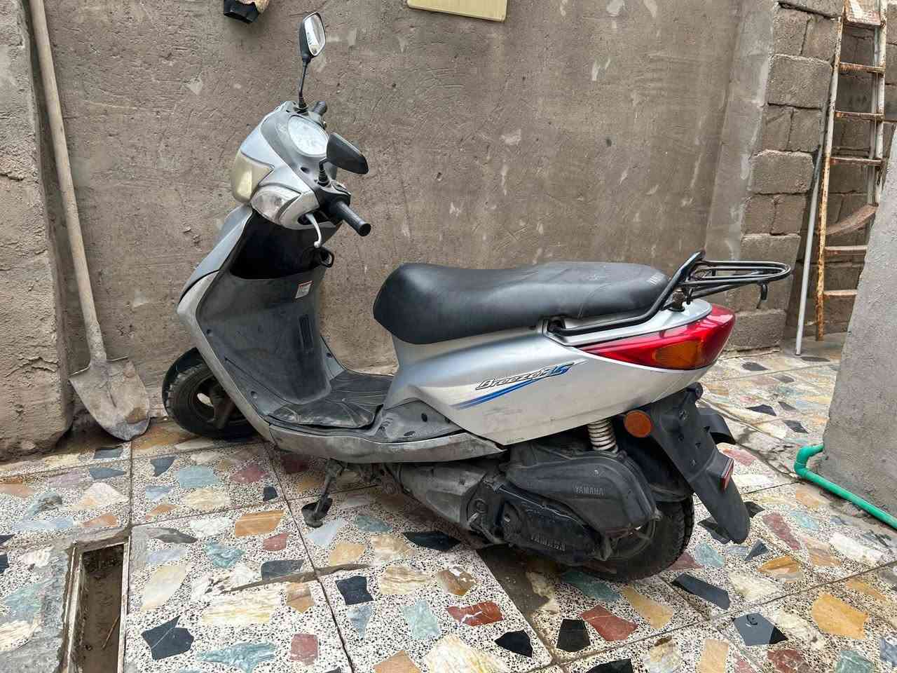 بريز ببغاء نوزل • ٢٠١١ • ١٢٥
