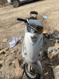 ماكس منغولي • نضيفه • دبلات جديدة