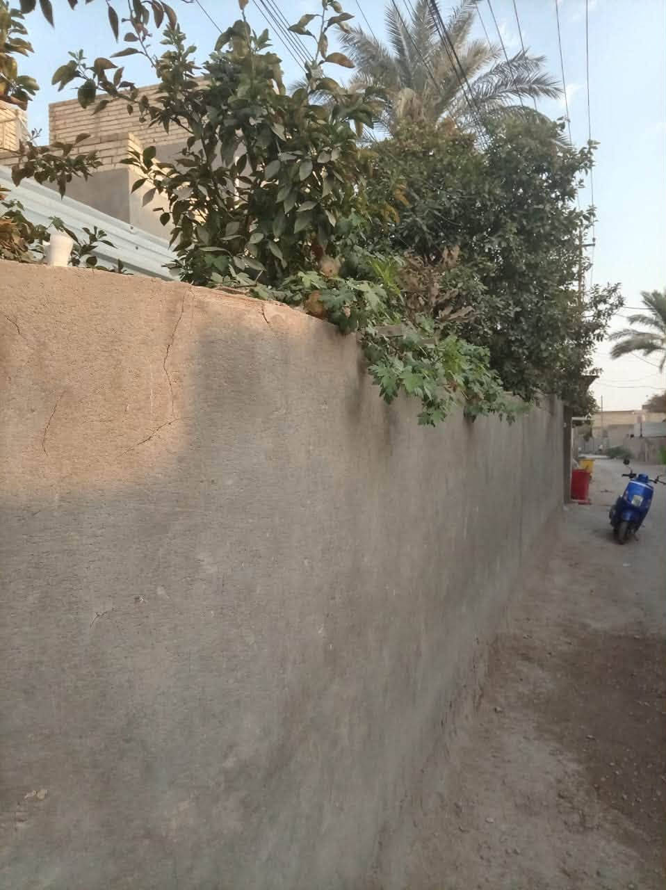 🏡 بيت زراعي للبيع – سند 25
📍 الموقع: حي المعلمين الثالثة – خلف السكة
📐 المساحة: 300 م²
📏 الأبعاد: 15 × 20 متر
📍 ركن وعلى شوارع عريضة

🏠 مواصفات البيت:
🔹 يتكون من طابقين
🔹 بناء من الطابوق والمسـلح
🔹 سقف الطابق الأول والثاني شيلمان
🔸 الطابق الأول:
• غرفة نوم
• استقبال
• صالة
• مطبخ
• مجمع صحيات داخلية وخارجية
• كراج سيارات كبير
• حديقة أمامية
• حديقة جانبية
• ممر جانبي بعرض متر بطول البيت

🔸 الطابق الثاني:
• غرفتين نوم
• صالة
• مخزن

🔸 إضافات:
✅ يحتوي على سطحين
✅ موقع مميز وهادئ
✅ مناسب للسكن العائلي
✅ قريب من الخدمات

📞 للاستفسار والمعاينة:
***********

🏡 مكتب عقار أهالي المسيب
📍 حي المعلمين الثالثة – قرب جامع محمد الجواد.
