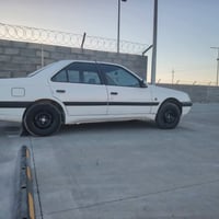 لاميس • ٢٠١٢ • حي الجهاد