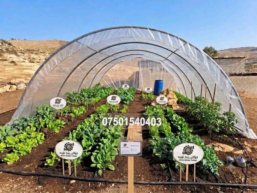 ***********_***********
خانوی پلاستیکی قیاس 6 بە 4بەرزی٢٢٠سم بۆ فرۆشتن بەجوملە موفرەد بەردەستەسعریمان داشکاند بۆ 77هەزار 
لەحیم ئارگۆنە بی جادرە گەیاندن مان هەیە
 
🔸 بەکاردێت بۆ بواری مەڕ و ماڵات🐐🐑
🔹 بەکاردێت بۆ بواری کشتوکاڵ🌾🌿🌺
🔸 بەکاردێت وەک گەراجی سەیارە🚗
🔹بەکاردێت بۆ ناو باخ و دەشت و دەر وەک شوێنی مانەوە و کۆگا 🛖☔
🔸بەکاردێت بۆ شەتڵگە و پەلەوەر🐔🌿
ناونیشان چوارقوڕنە
گەیاندن هەیە :.
