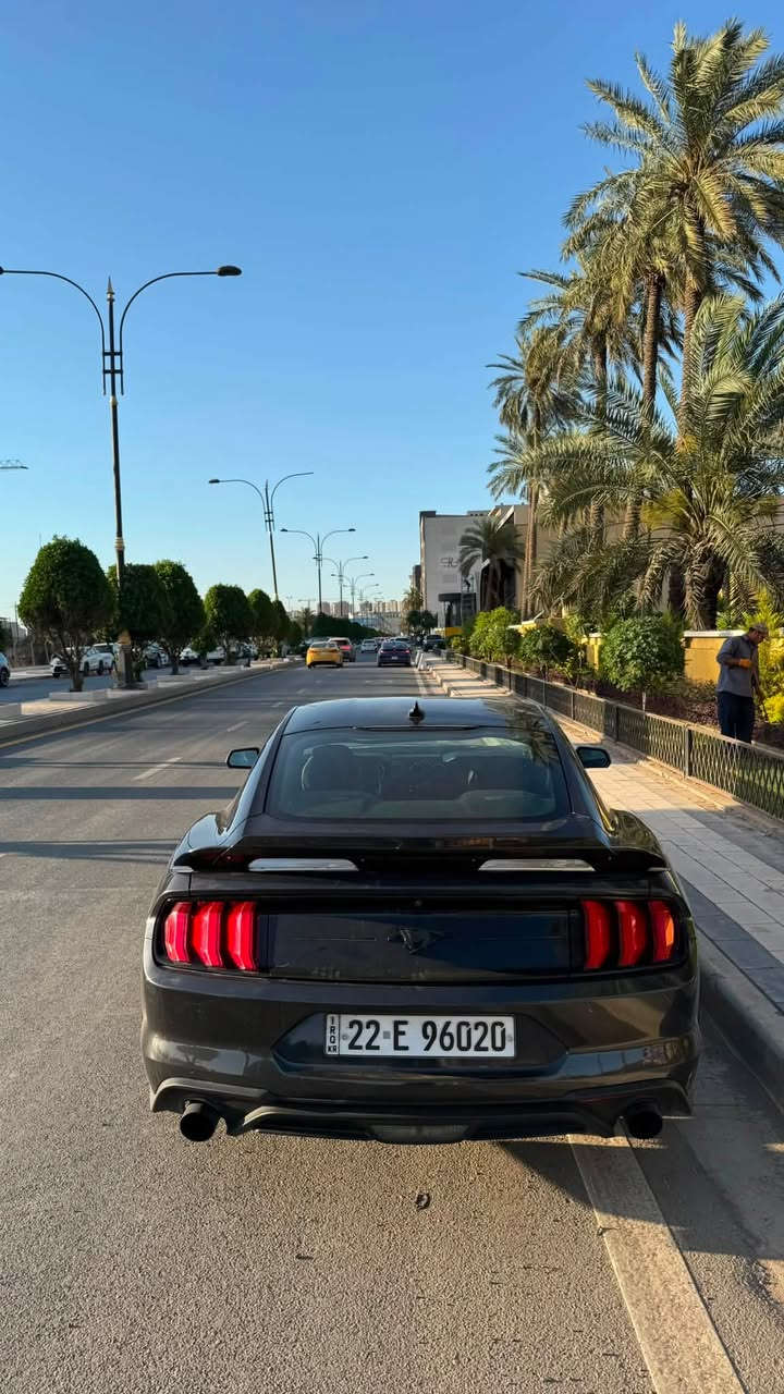 سعر 145$ موستنك ايكو 2022
عليها هواية اضافات وقطع تزويد اصلية من امريكا جتي ومرتبة 

-ماشية 42 ميل

-شوتة رياضية Airaid اصلية من امريكا

-عطاس تيربو صوتة كلش حلو هم اجة بيها من امريكا 

-داون بايب اصلي 

-عليها شباك cs

-ويل حجم 20 مال ماك وان تو سايز مال جيتي تايرات خلفية عريضة

-جناح خلفي مال شيلبي مع الإضافة 

-مسطرة خلفية صندوك مال جيتي

-محدثة دركة مال جيتي ام الشفترات 

-سقف نجوم روز رايز

حادثه سطحي وخفيف جاي من فوك  شاصي مكفول

بنيد وجاملغ صبغ ونص جاملغ الثاني

ايرباك دركة 

رقم اربيل

مكانها بغداد الاعظمية او العرصات 

تواصل خاص اور رقم التلفون

***********
