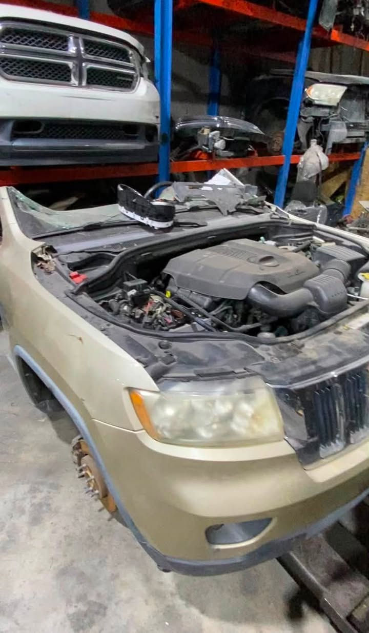 توفر كصات جيب توهن وصلن هاي الاوان كلشي تحتاج منهم متوفر عند اخوكم مصطفى حارث
يوجد توصيل 🚚 جميع العراق كل قطعة بيه ضمان حقيقي الشد اسعار جداً مناسبه 
***********
