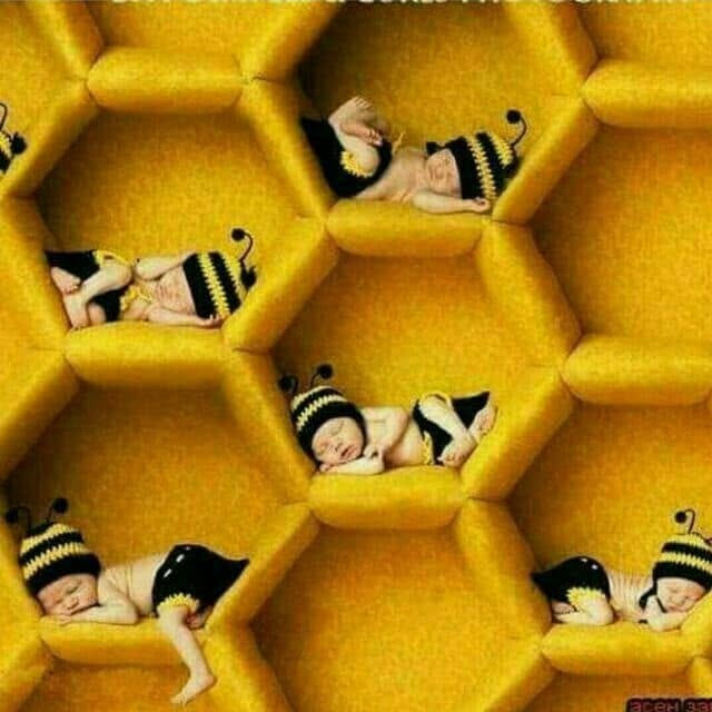 #العسل غذاء ودواء #للأطفال 🍯🛌👬

عسل السدر متوفر وكالبتوز 🍯

1- يحتوي عسل النحل على الكثير من الفيتامينات والمعادن المفيدة لأجسامهم.

2 - يحمي الكبد، ويساعد على التحكم في مستوى السكر بالدم.

3 - يتمتع بخصائص علاجية، كتخفيف السعال والبرد، وخفض سكر الدم.

4 - يساعد على التئام الجروح وعلاج الحروق.

5 - يساعد على تخفيف التهاب الحلق.

6 - يعالج اضطرابات المعدة، ويعزز عملية التمثيل الغذائي. مشهي للأكل، ويخفف آلام الأسنان.

7 - يساعد على التخفيف من آلام العضلات. ويشفي تقرحات الفم. يساعد في تنظيم المجاري البولية عند الأطفال. 

8 - يساعد على علاج الربو، ويسهل التنفس. ويعالج المشكلات الالتهابية. حيث يساعد في الحفاظ على ميكروبات الأمعاء الصحية لدى الأطفال.

9 - يخفف من ارتجاع المريء. ويقلل الإمساك والإسهال. على الرغم من فوائد العسل العديدة، ربما يكون الاستخدام الطبي الأكثر انتشارًا للعسل، علاج السعال والبرد.

 10 - يساعد كذلك على نوم الطفل بشكل أعمق.

11 – يرطب عسل النحل البشرة عند استخدامه موضعيّا.

نعمل بتوصيل المنزلي فقط لا يوجد محل 👍
للحجز والاستفسار مراسله الصفحه اول الاتصال على الرقم

***********   واتساب فايبر ™️👍

