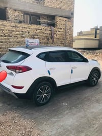 توسان • ٢٠١٧ • حله بابل