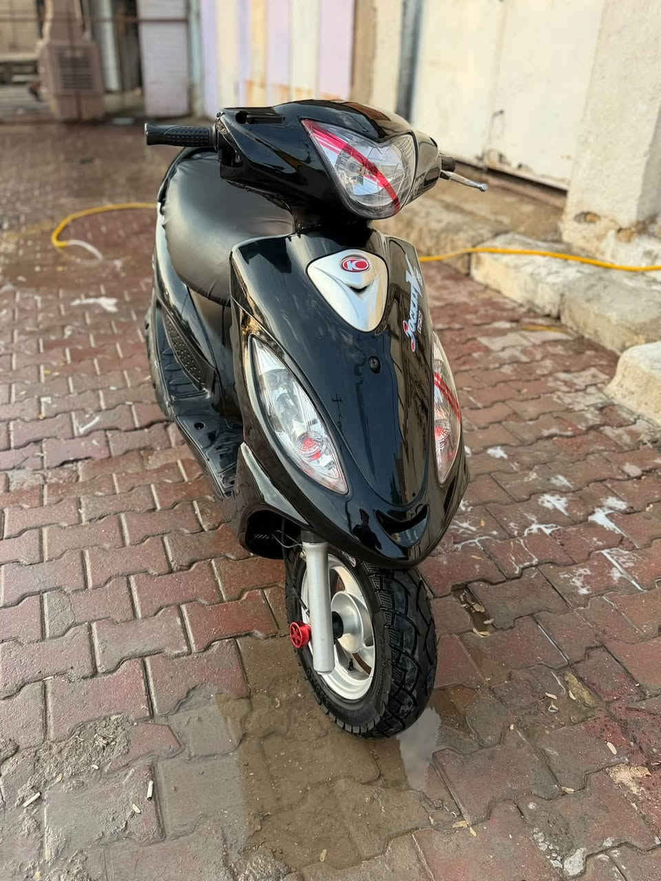 كامكو فحل ١٦ • فول الفول • مكفوله