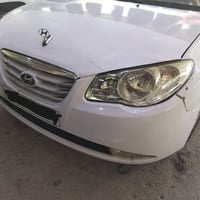 النترا • ٢٠١١ • مصبوغ