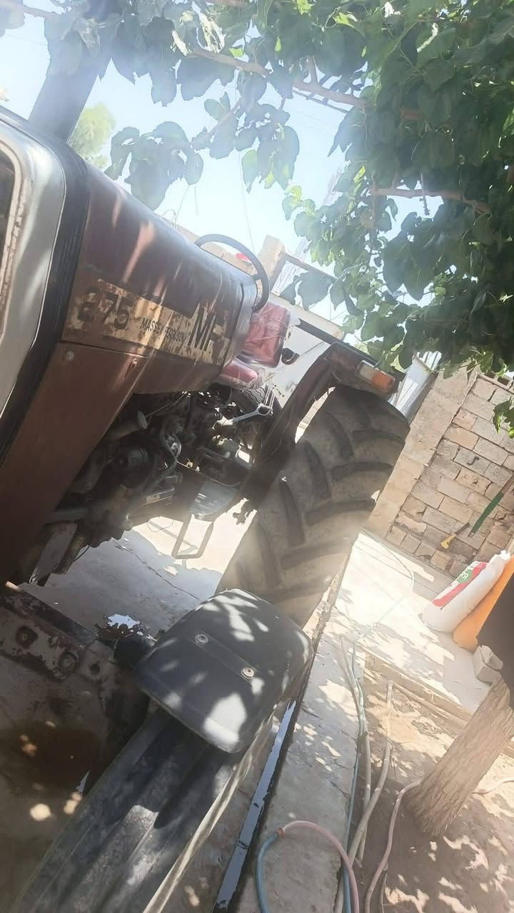 انجليزي • ٢٧٥ • للبيع