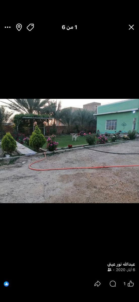 زنكوره اليرموك • دونم ٤٠٠ • ٤٠ نخلة
